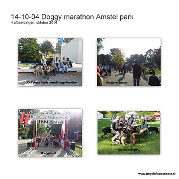 Doggy marathon in het Amstel park met Fee, Djoek, Noëlla en Djazz